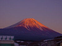 この頃はちょうど朝霧にいたので富士山がバッチリ