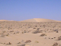 Dunes in southern Morocco