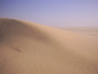 Dune in desert