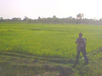 Tanbo near Bobo-Dioulasso